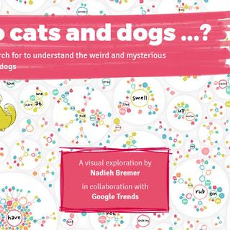 Why do cats and dogs? Understanding search terms for recruitment campaigns